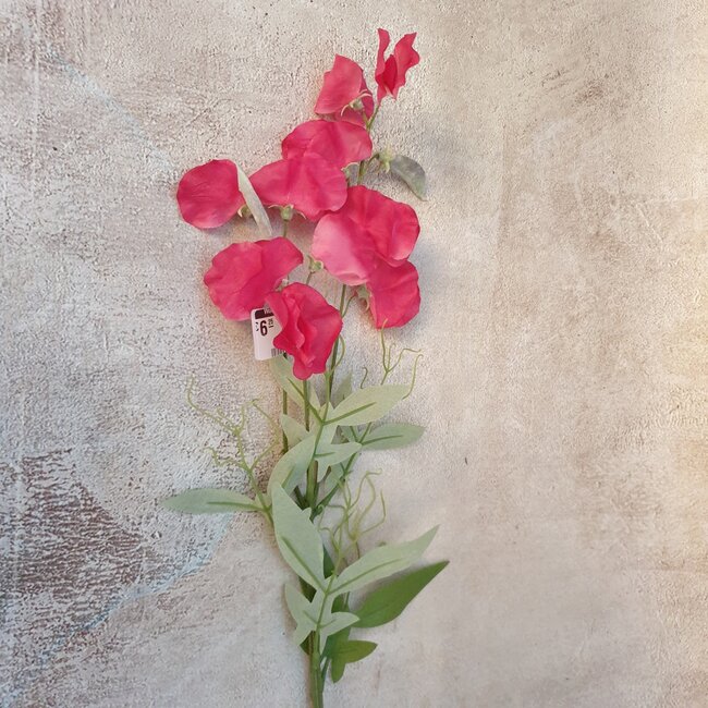 Sweetpea 70cm - fuchsia