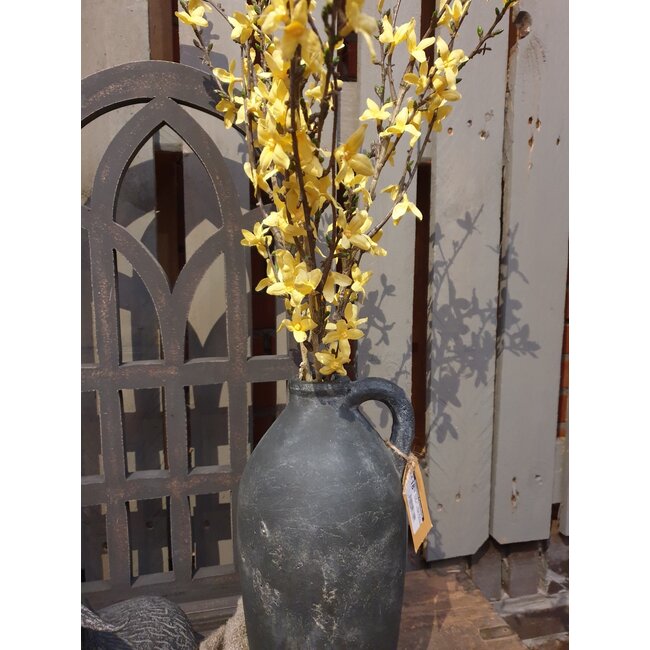 Forsythia S geel - L76B10H1,5CM