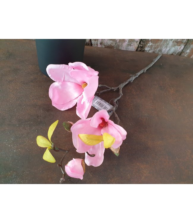 xxx - Magnolia pick 'Scent' pink 50cm