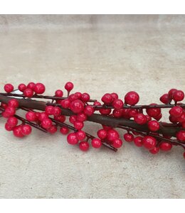 Ilex extra S red - 100 x 7 cm