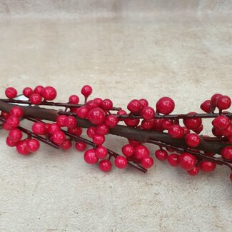 Ilex extra S red - 100 x 7 cm