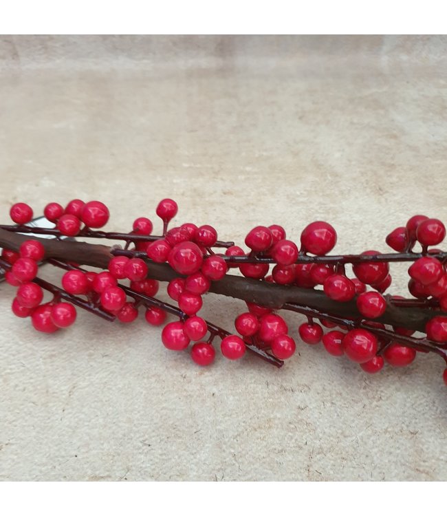 Ilex extra S red - 100 x 7 cm
