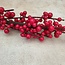 Ilex extra S red - 100 x 7 cm