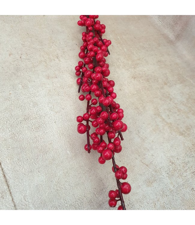 Ilex extra S red - 100 x 7 cm