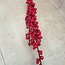 Ilex extra S red - 100 x 7 cm