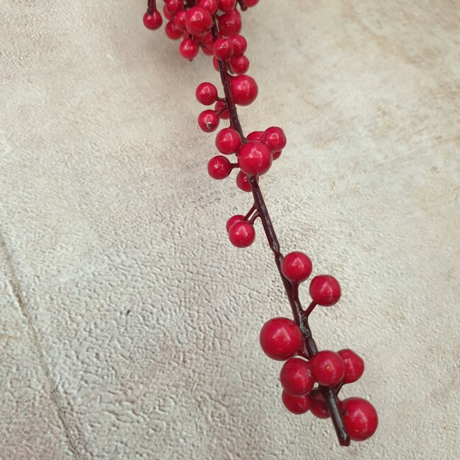 Ilex extra S red - 100 x 7 cm