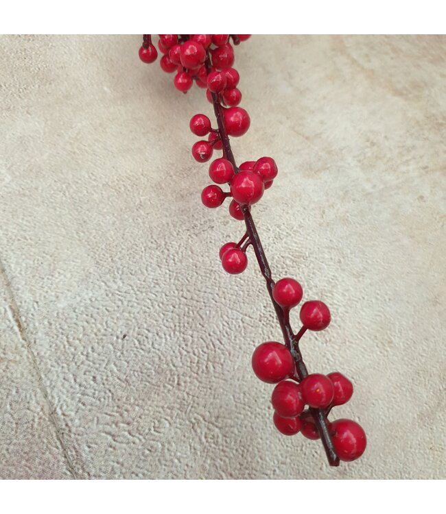 Ilex extra S red - 100 x 7 cm