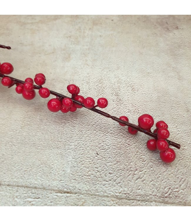 Ilex extra S red - 100 x 7 cm