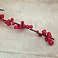 Ilex extra S red - 100 x 7 cm