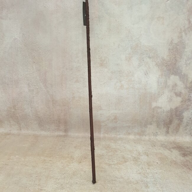 Ilex extra S red - 100 x 7 cm