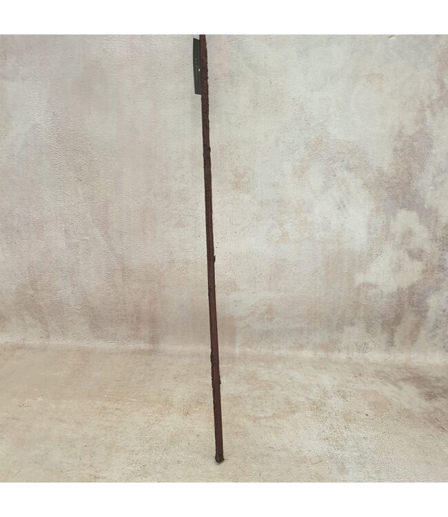Ilex extra S red - 100 x 7 cm