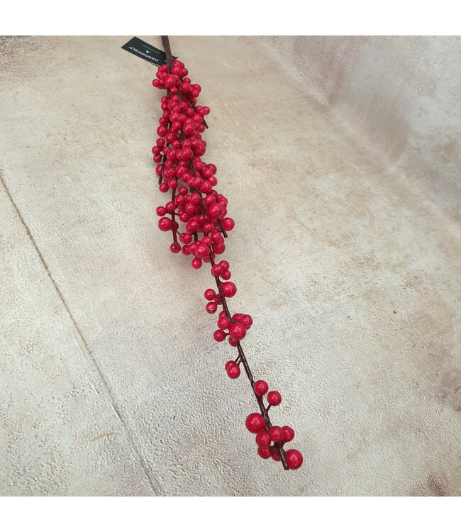 Ilex extra S red - 100 x 7 cm