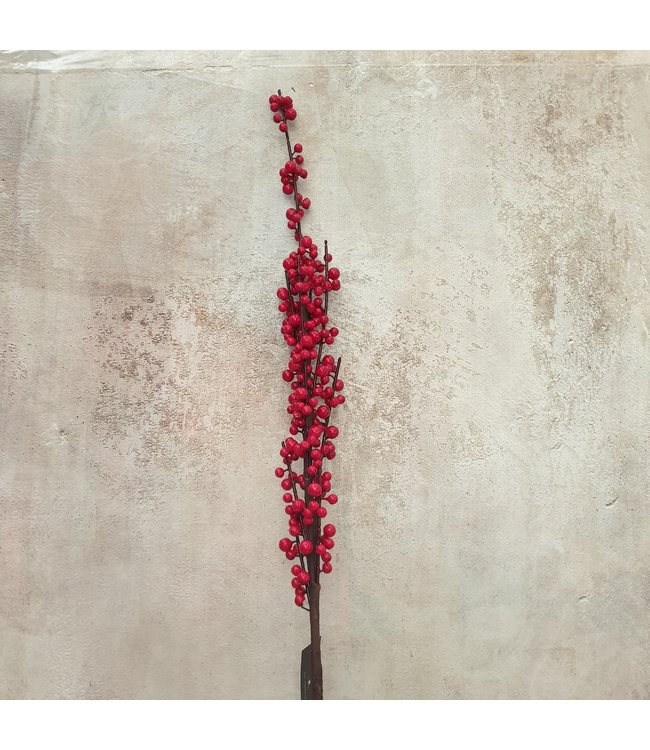 Ilex extra S red - 100 x 7 cm
