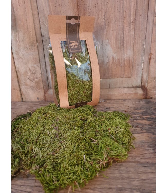 # Moss flat 50gr - Natural - mos gedroogd