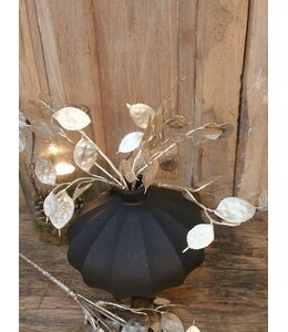 ## Lunaria champagne-L8B15H40CM