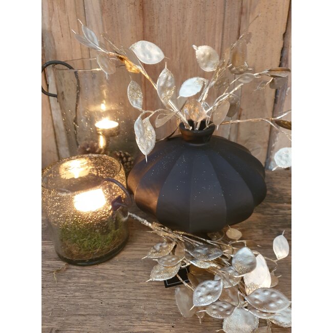 ## Lunaria champagne-L8B15H40CM