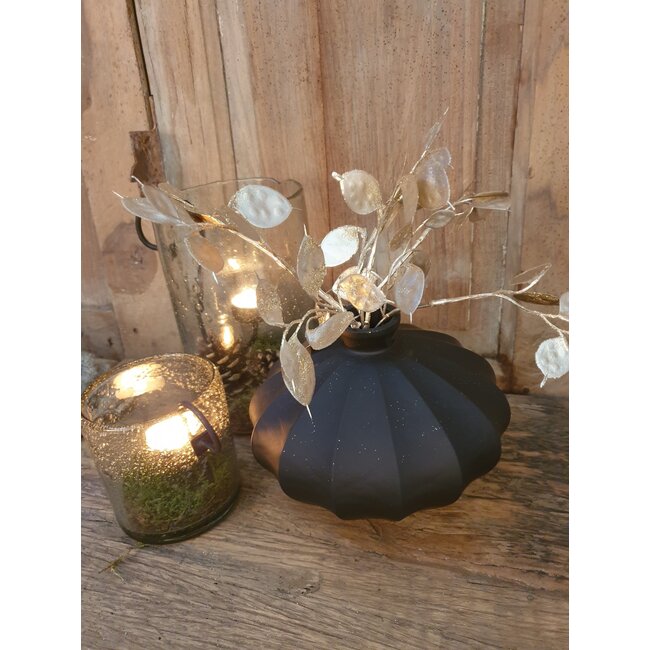 ## Lunaria champagne-L8B15H40CM