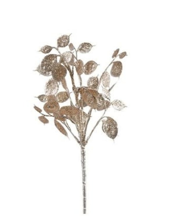 ## Lunaria champagne-L8B15H40CM