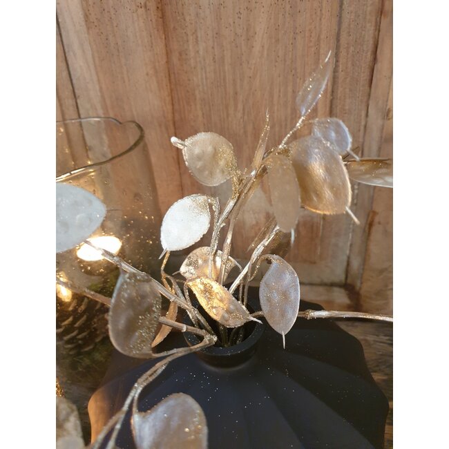 ## Lunaria champagne-L8B15H40CM