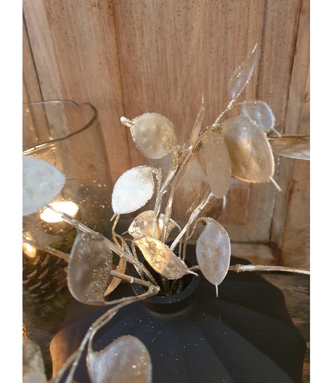 ## Lunaria champagne-L8B15H40CM