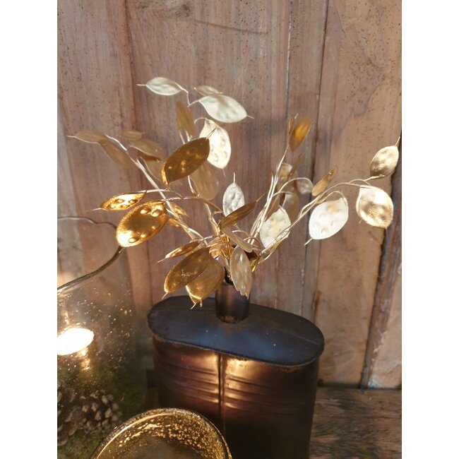 Lunaria goud-L7B15H40CM