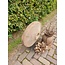 # Wiel op statief XL-8 - 55 x 20 x 60 cm - wordt niet verzonden/alleen afhalen