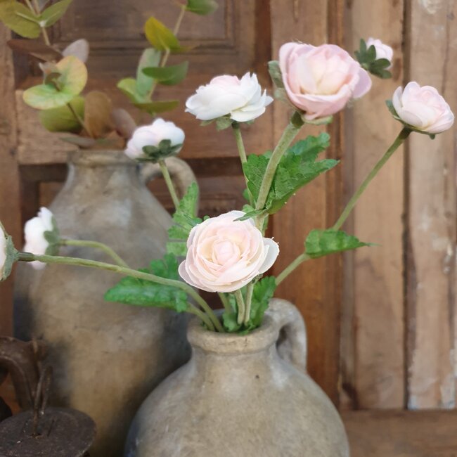 Mini Ranunculus W/3 Flrs & 1bud 57cm