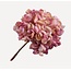 HORTENSIA STEEL ROZE DK 65 cm - kunst