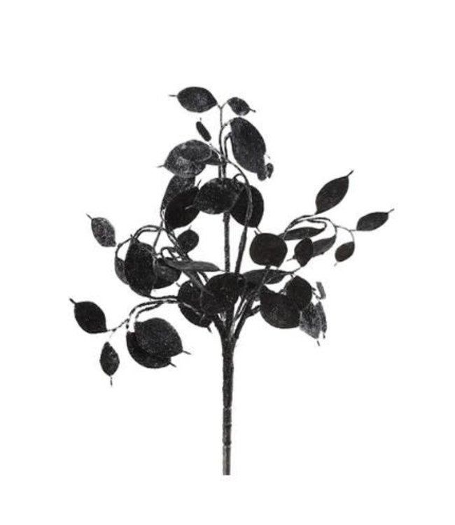 Lunaria zwart-L7B15H40CM - kunst