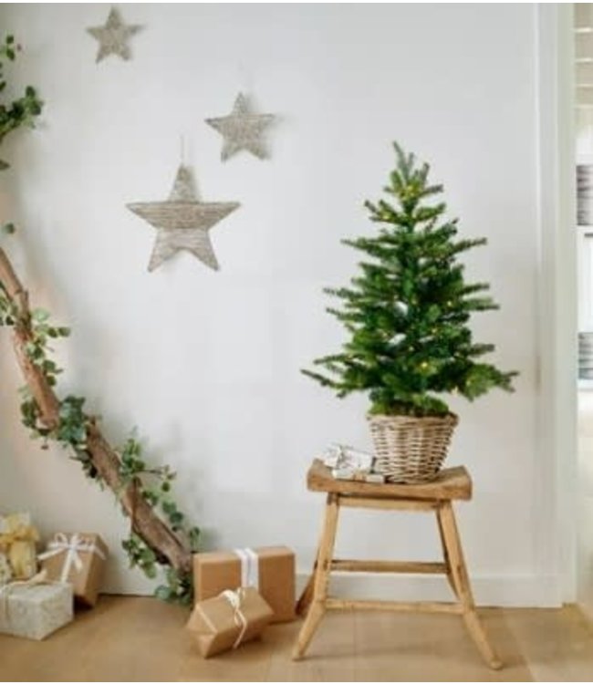 leerboek Opknappen compromis Kerstboom kunst in pot - buiten - met 80 lampjes - 90cm hoog - werkt op  batterij - Woonwinkel Pommelientje