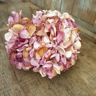 Roze hortensia 65 cm