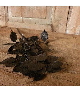 Lunaria zwart-L7B15H40CM - kunst