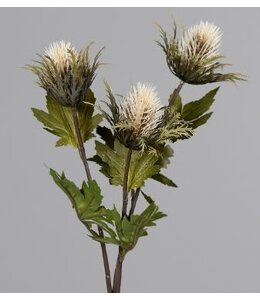 THISTLE, 68 CM, CREAM