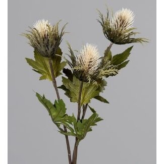 ## THISTLE, 68 CM, CREAM