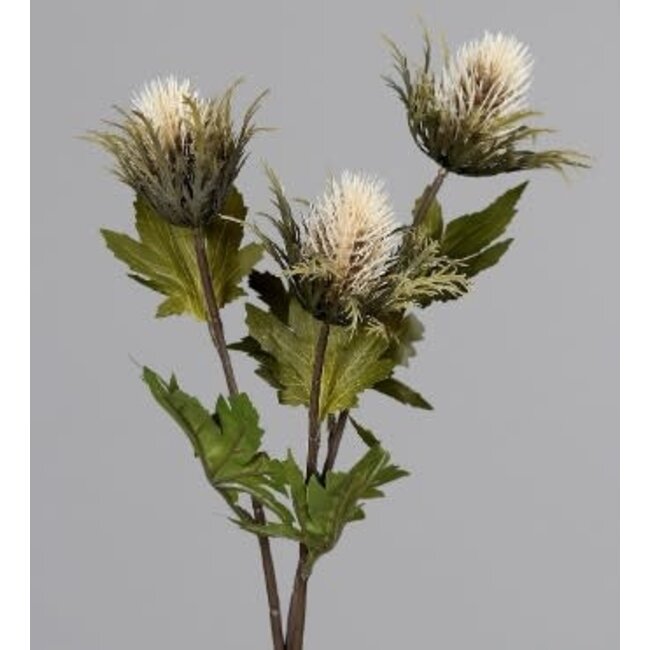 ## THISTLE, 68 CM, CREAM