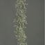 ## TILLANDSIA GARLAND, 90 CM, (1)AUTUMN