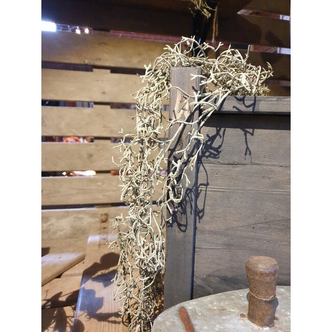 ## TILLANDSIA GARLAND, 90 CM, (1)AUTUMN