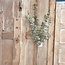 EUCALYPTUS TAK BRN/GRN 111 cm - kunst