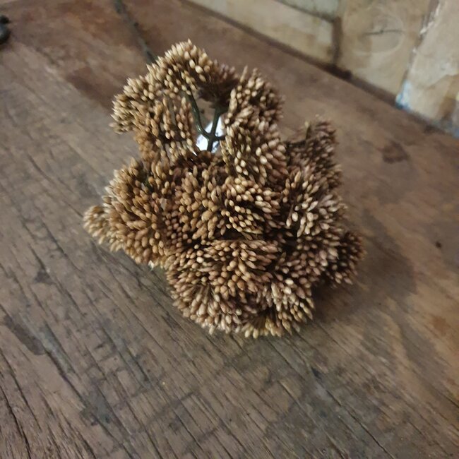 ## ANETHUM TWIG, 70 CM, BROWN, 24/144 - kunst