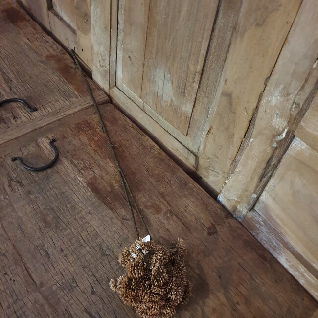 ## ANETHUM TWIG, 70 CM, BROWN, 24/144 - kunst