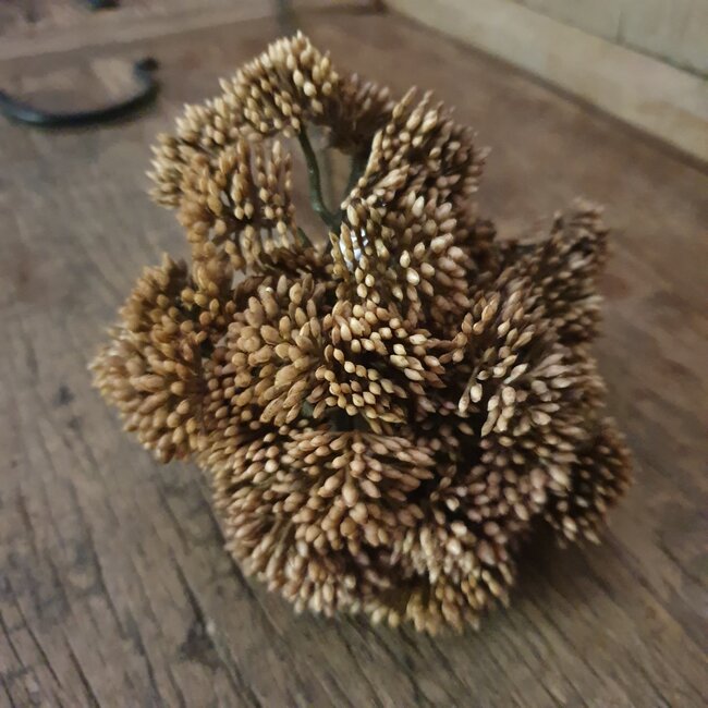 ## ANETHUM TWIG, 70 CM, BROWN, 24/144 - kunst