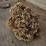 ## ANETHUM TWIG, 70 CM, BROWN, 24/144 - kunst