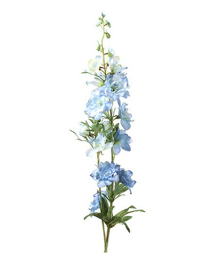# Delphinium Jesik blauw 8 x 8 x 94 cm