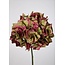 Hydrangea Single Stem 48cm - hortensia