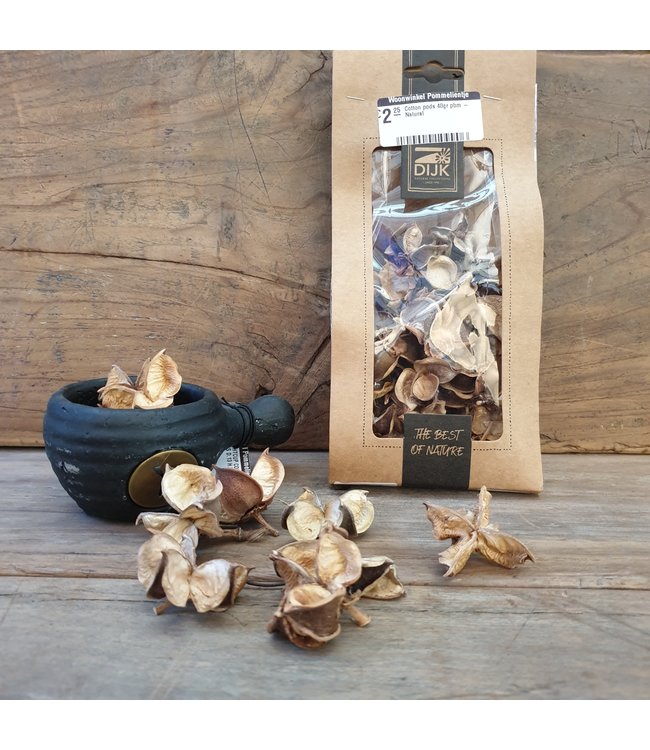 Cotton pods 40gr pbm - Natural