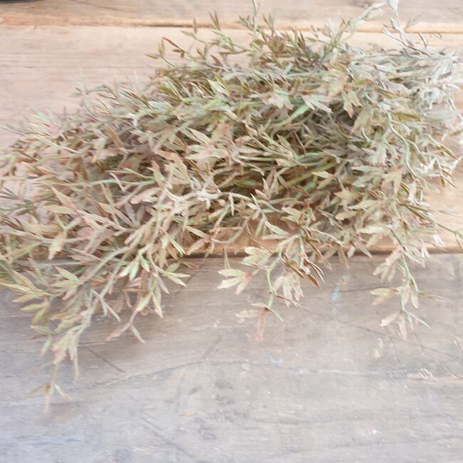 ## JUNIPERUS GREY 50 cm - kunst