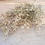## JUNIPERUS GREY 50 cm - kunst