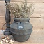 Brynxz # JUNIPERUS GREY 50 cm - kunst