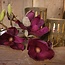 I701 - Magnolia - kunst - 59 cm