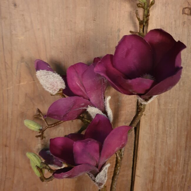 I701 - Magnolia - kunst - 59 cm